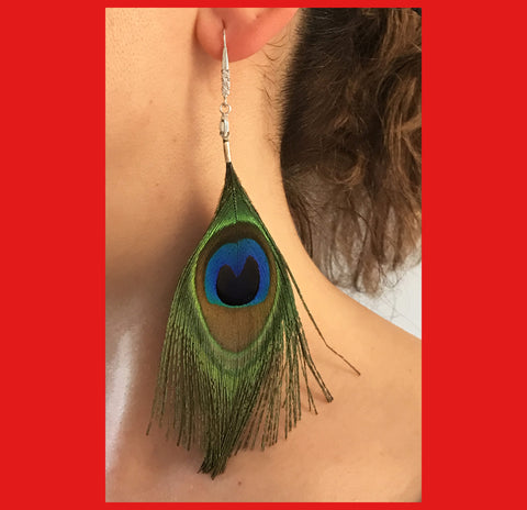 Peacock Feather Earrings with Sterling Silver Hook