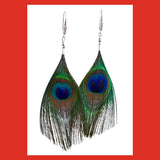 Earrings; Peacock Feather with Sterling Silver Hook