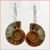 Natural Ammonite Shell Earrings