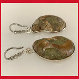 Natural Ammonite Shell Earrings